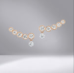 Graduate Climber Earrings