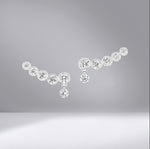 Graduate Climber Earrings